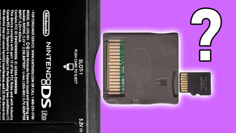 Flash Carts Are The Portal To The DS Homebrew World
