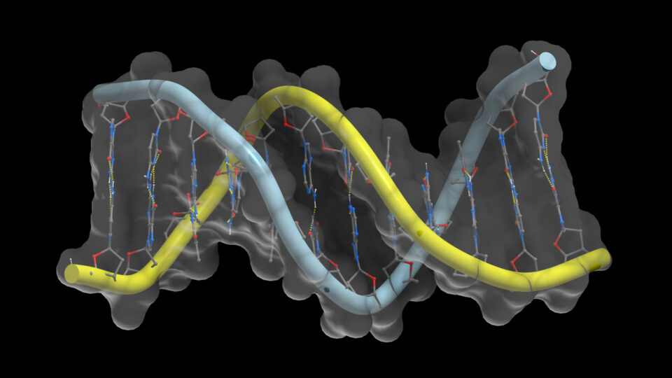 A horizontal helix.